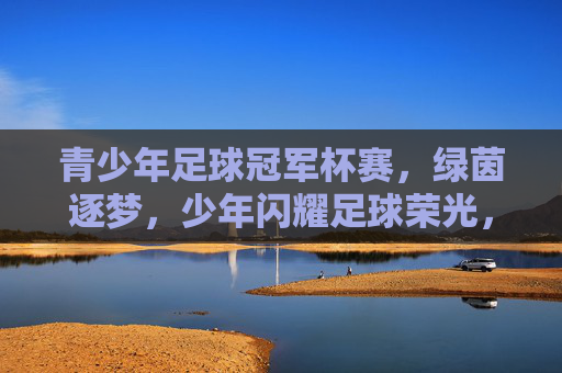青少年足球冠军杯赛，绿茵逐梦，少年闪耀足球荣光，青少年足球冠军杯赛，绿茵逐梦，少年闪耀足球荣光