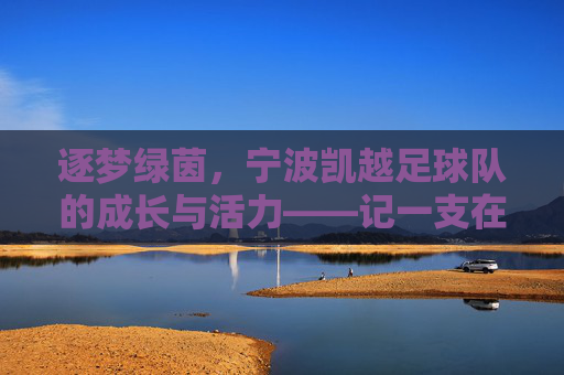 逐梦绿茵，宁波凯越足球队的成长与活力——记一支在社区足球中绽放的青春力量，逐梦绿茵，宁波凯越足球队的成长与活力——记一支在社区足球中绽放的青春力量
