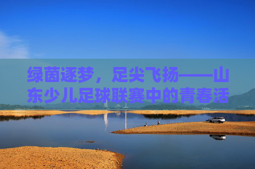 绿茵逐梦，足尖飞扬——山东少儿足球联赛中的青春活力与成长足迹，绿茵逐梦，足尖飞扬——山东少儿足球联赛中的青春活力与成长足迹