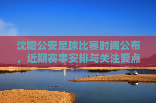 沈阳公安足球比赛时间公布,近期赛事安排与关注要点