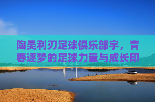陶吴利刃足球俱乐部宇，青春逐梦的足球力量与成长印记，陶吴利刃足球俱乐部，青春逐梦的足球力量与成长印记