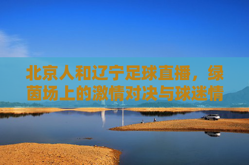 北京人和辽宁足球直播，绿茵场上的激情对决与球迷情怀的共鸣，北京人和辽宁足球直播，绿茵场上的激情对决与球迷情怀的共鸣