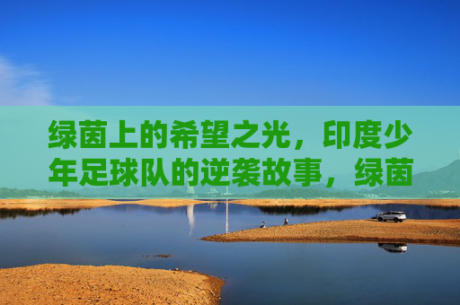 绿茵上的希望之光，印度少年足球队的逆袭故事，绿茵上的希望之光，印度少年足球队的逆袭故事