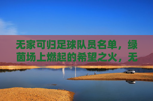 无家可归足球队员名单,绿茵场上燃起的希望之火,无家可归足球队员名单,绿茵场上燃起的希望之火