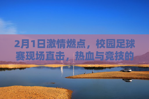 2月1日激情燃点，校园足球赛现场直击，热血与竞技的碰撞