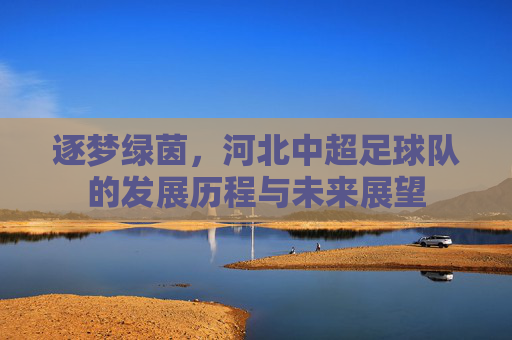 逐梦绿茵，河北中超足球队的发展历程与未来展望