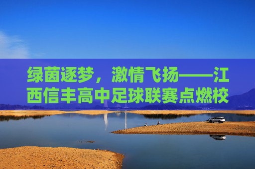 绿茵逐梦，激情飞扬——江西信丰高中足球联赛点燃校园青春活力，绿茵逐梦，激情飞扬——江西信丰高中足球联赛点燃校园青春活力