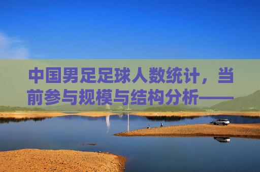 中国男足足球人数统计,当前参与规模与结构分析——基于参与人数与分布的调研,中国男子足球参与人数统计,规模与结构分析——基于参与人数及分布的调研
