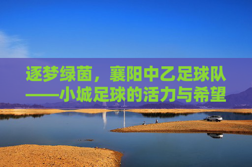 逐梦绿茵，襄阳中乙足球队——小城足球的活力与希望，逐梦绿茵，襄阳中乙足球队——小城足球的活力与希望