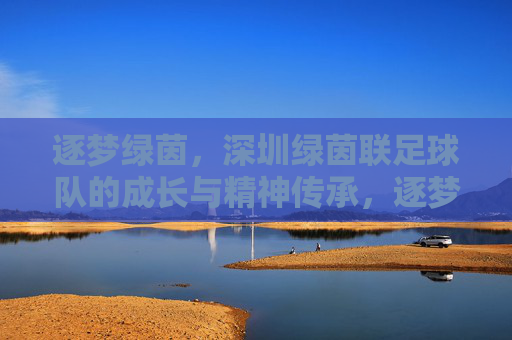 逐梦绿茵,深圳绿茵联足球队的成长与精神传承,逐梦绿茵,深圳绿茵联足球队的成长与精神传承