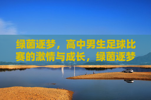 绿茵逐梦,高中男生足球比赛的激情与成长,绿茵逐梦,高中男生足球比赛的激情与成长