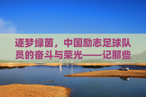 逐梦绿茵,中国励志足球队员的奋斗与荣光——记那些在逆境中绽放的足球之星