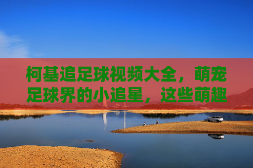 柯基追足球视频大全,萌宠足球界的小追星,这些萌趣瞬间让你笑出腹肌!柯基追足球视频大全,萌宠足球界的小追星,笑出腹肌的萌趣瞬间!