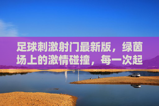 足球刺激射门最新版,绿茵场上的激情碰撞,每一次起脚都是心跳的盛宴,足球刺激射门最新版,绿茵场上的激情碰撞,每一次起脚都是心跳的盛宴
