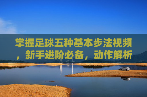 掌握足球五种基本步法视频，新手进阶必备，动作解析与练习指南，足球五种基本步法视频，新手进阶必备，动作解析与练习指南