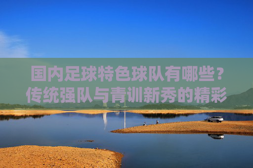国内足球特色球队有哪些?传统强队与青训新秀的精彩代表