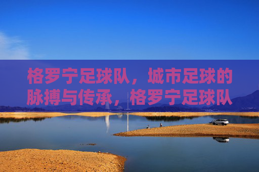 格罗宁足球队，城市足球的脉搏与传承，格罗宁足球队，城市足球的脉搏与传承
