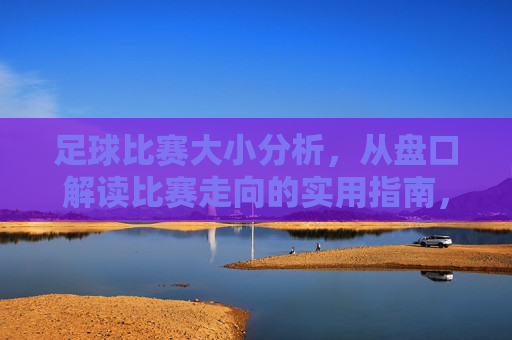 足球比赛大小分析，从盘口解读比赛走向的实用指南，足球比赛大小分析，从盘口解读比赛走向的实用指南