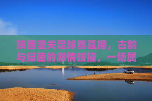 陕西潼关足球赛直播,古韵与绿茵的激情碰撞,一场属于时代的体育盛宴