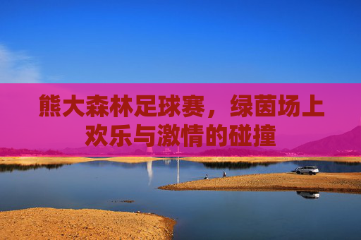 熊大森林足球赛，绿茵场上欢乐与激情的碰撞