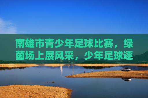 南雄市青少年足球比赛,绿茵场上展风采,少年足球逐梦启航