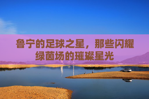 鲁宁的足球之星,那些闪耀绿茵场的璀璨星光