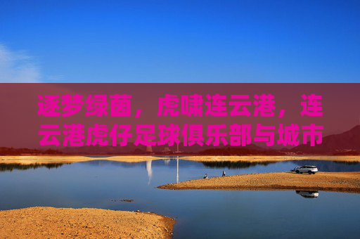 逐梦绿茵,虎啸连云港,连云港虎仔足球俱乐部与城市足球的青春共鸣,逐梦绿茵,虎啸连云港,连云港虎仔足球俱乐部与城市足球的青春共鸣