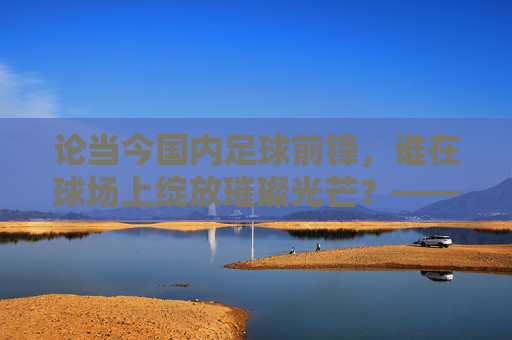 论当今国内足球前锋,谁在球场上绽放璀璨光芒?——聚焦国内前锋的现代表现与角色演变