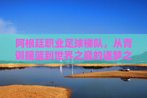 阿根廷职业足球梯队，从青训摇篮到世界之巅的逐梦之路