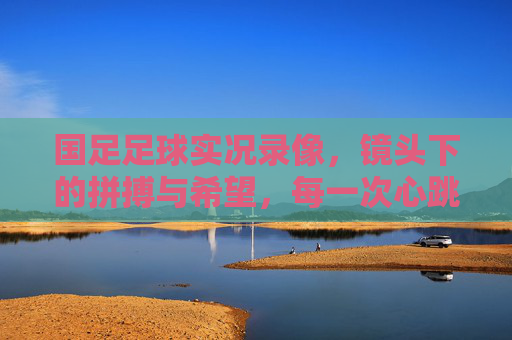国足足球实况录像,镜头下的拼搏与希望,每一次心跳都为梦想而燃,国足足球实况,镜头下的拼搏与希望,每一次心跳为梦想而燃