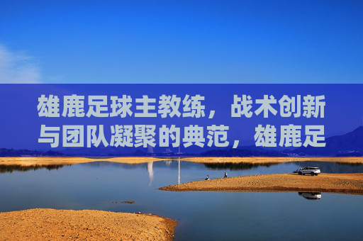 雄鹿足球主教练，战术创新与团队凝聚的典范，雄鹿足球主教练，战术创新与团队凝聚的典范