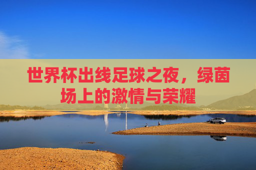 世界杯出线足球之夜，绿茵场上的激情与荣耀