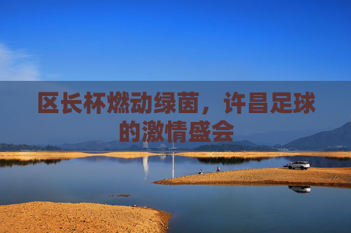 区长杯燃动绿茵，许昌足球的激情盛会