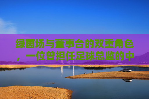 绿茵场与董事台的双重角色,一位曾担任足球总监的中场,用球商重塑球队命运,从球场到董事台,足球总监中场以球商重塑球队命运