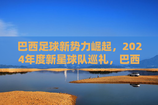 巴西足球新势力崛起,2024年度新星球队巡礼,巴西足球新势力崛起,2024年度新星球队巡礼