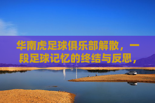 华南虎足球俱乐部解散,一段足球记忆的终结与反思,华南虎足球俱乐部解散,一段足球记忆的终结与反思