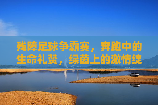 残障足球争霸赛,奔跑中的生命礼赞,绿茵上的激情绽放,残障足球争霸赛,奔跑中的生命礼赞,绿茵上的激情绽放
