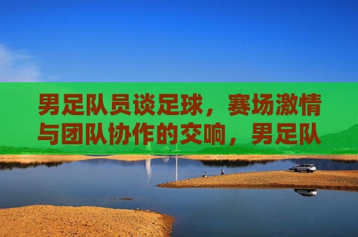 男足队员谈足球，赛场激情与团队协作的交响，男足队员谈足球，赛场激情与团队协作的交响
