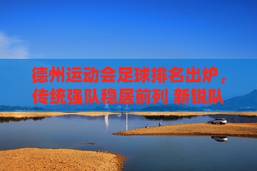 德州运动会足球排名出炉,传统强队稳居前列 新锐队伍展现潜力