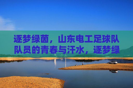 逐梦绿茵，山东电工足球队队员的青春与汗水，逐梦绿茵，山东电工足球队队员的青春与汗水