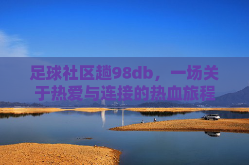 足球社区趟98db，一场关于热爱与连接的热血旅程