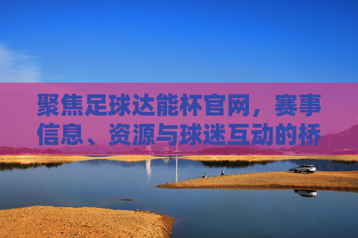 聚焦足球达能杯官网，赛事信息、资源与球迷互动的桥梁，足球达能杯官网，赛事信息、资源与球迷互动的核心桥梁