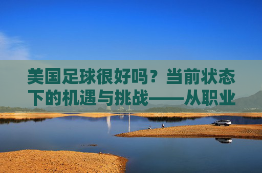 美国足球很好吗？当前状态下的机遇与挑战——从职业联赛到国家队的现状与未来，美国足球，当前机遇与挑战探析——从职业联赛到国家队的现状与未来