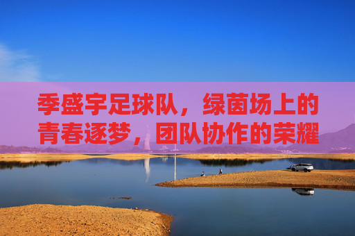 季盛宇足球队，绿茵场上的青春逐梦，团队协作的荣耀篇章，季盛宇足球队，绿茵场上的青春逐梦，团队协作的荣耀篇章