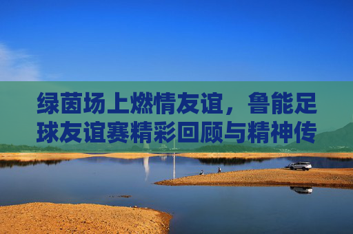 绿茵场上燃情友谊,鲁能足球友谊赛精彩回顾与精神传承,绿茵场上燃情友谊,鲁能足球友谊赛精彩回顾与精神传承