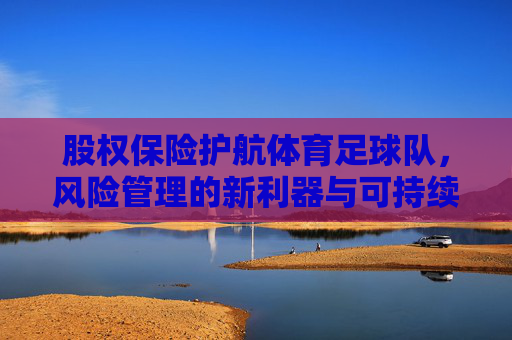 股权保险护航体育足球队,风险管理的新利器与可持续发展的安全阀,股权保险护航体育足球队,风险管理的新利器与可持续发展的安全阀