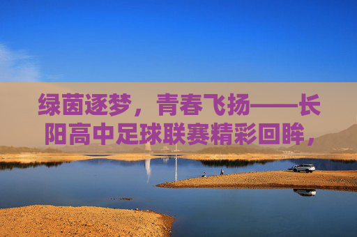 绿茵逐梦，青春飞扬——长阳高中足球联赛精彩回眸，绿茵逐梦，青春飞扬——长阳高中足球联赛精彩回眸