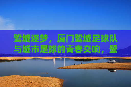 鹭城逐梦，厦门鹭城足球队与城市足球的青春交响，鹭城逐梦，厦门鹭城足球队与城市足球的青春交响