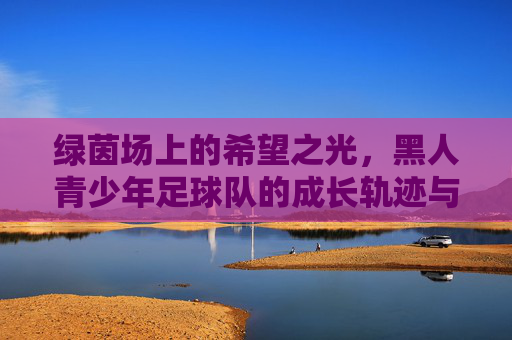 绿茵场上的希望之光，黑人青少年足球队的成长轨迹与梦想绽放，绿茵场上的希望之光，黑人青少年足球队的成长轨迹与梦想绽放
