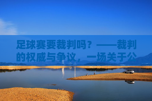 足球赛要裁判吗？——裁判的权威与争议，一场关于公平与规则的思辨，足球赛要裁判吗？——裁判的权威与争议，一场关于公平与规则的思辨